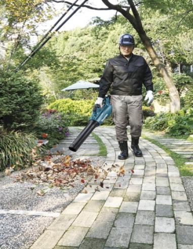 Soplador Batería 18V.LXT BL