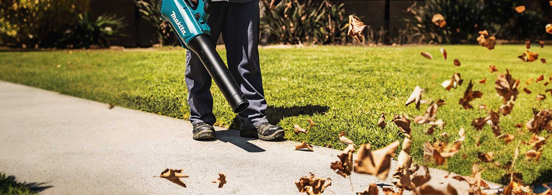 Distribuidor oficial